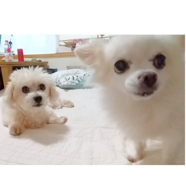 4396a0da e570 40ba 8ebb f5cfa9a1ab34 1663461621116