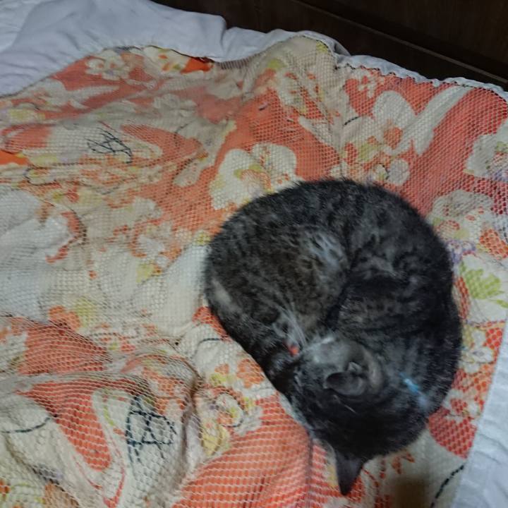 4396c4a8 d362 4e95 b6d5 97a243a4d8b7 1570448663776