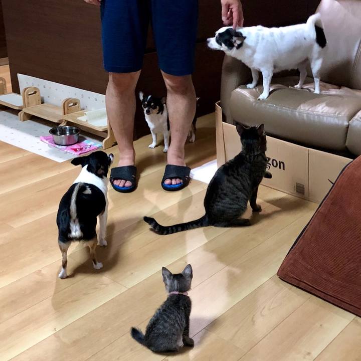 4396c80b aae8 4903 aae2 67817fc1f551 1529071186881