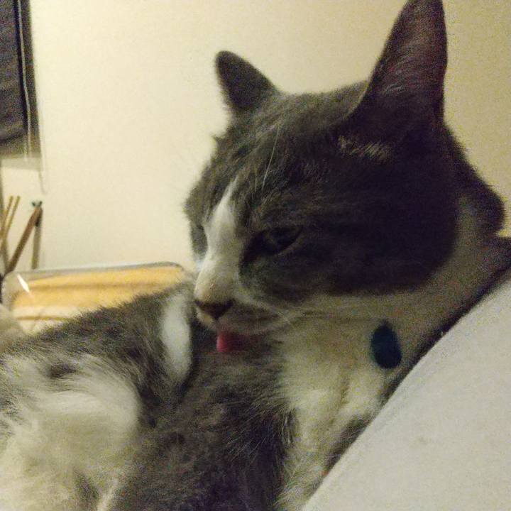 4396dc9c 555a 4719 8526 eaf56dd35ce0 1631283475229