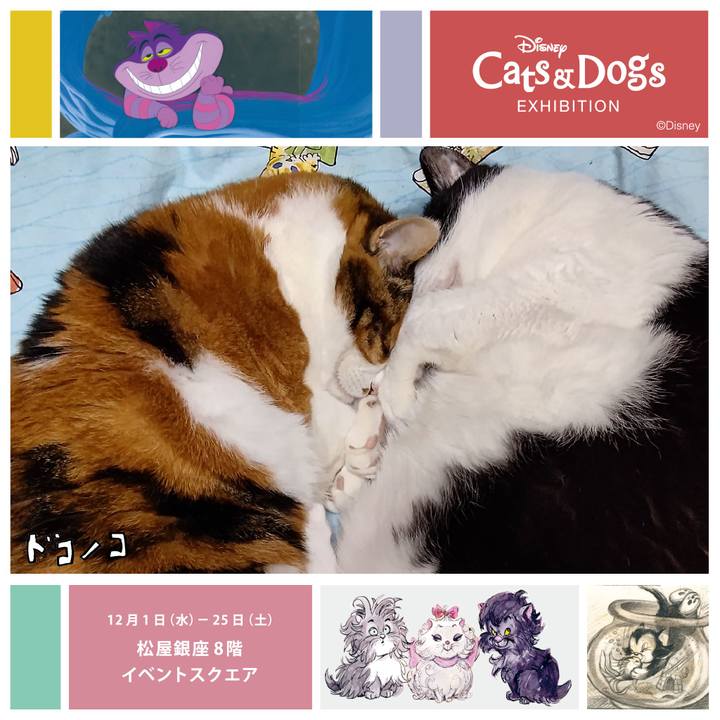 4396f643 95bb 4aff 8f99 7734078de96a 1639127701736