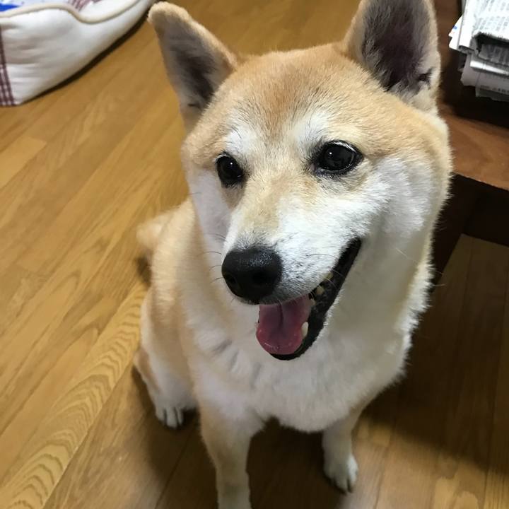 439718af e70f 4051 aa01 0f8c76fd50e5 1528121250670