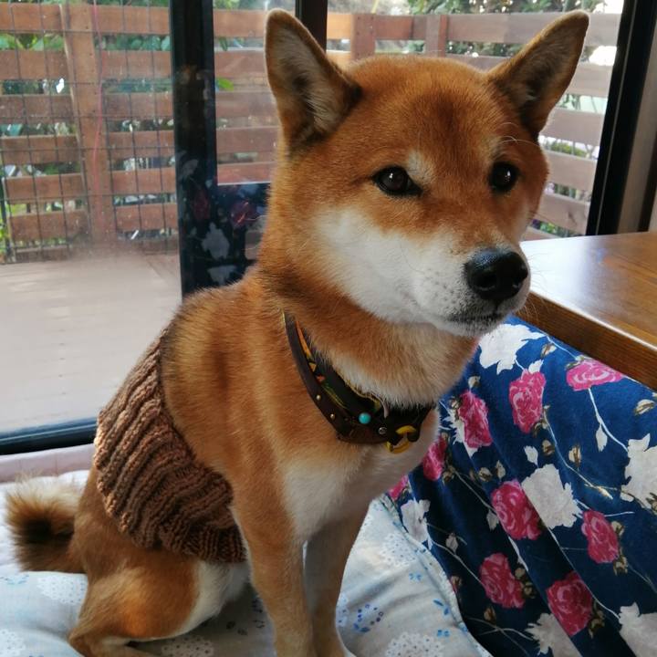 4397557c 506a 44b9 8a17 96eafea21619 1607301548217