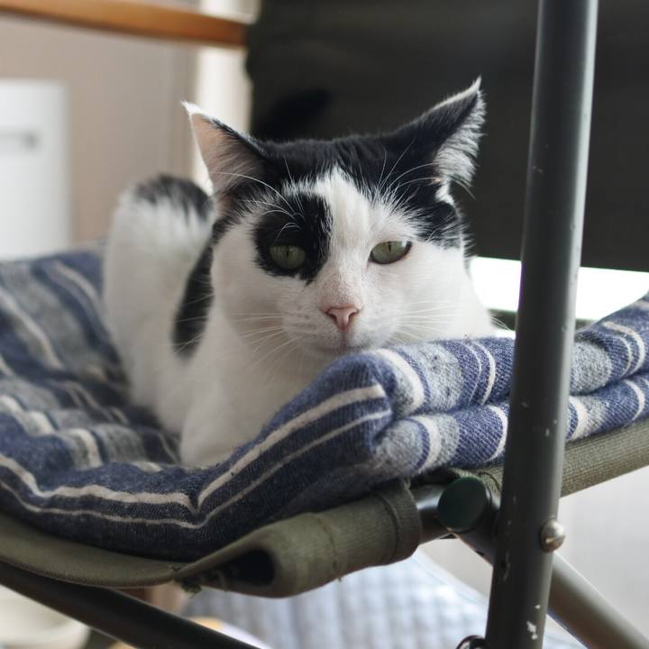 43977ab3 0ce6 4138 a568 067e621b5afc 1513154622467