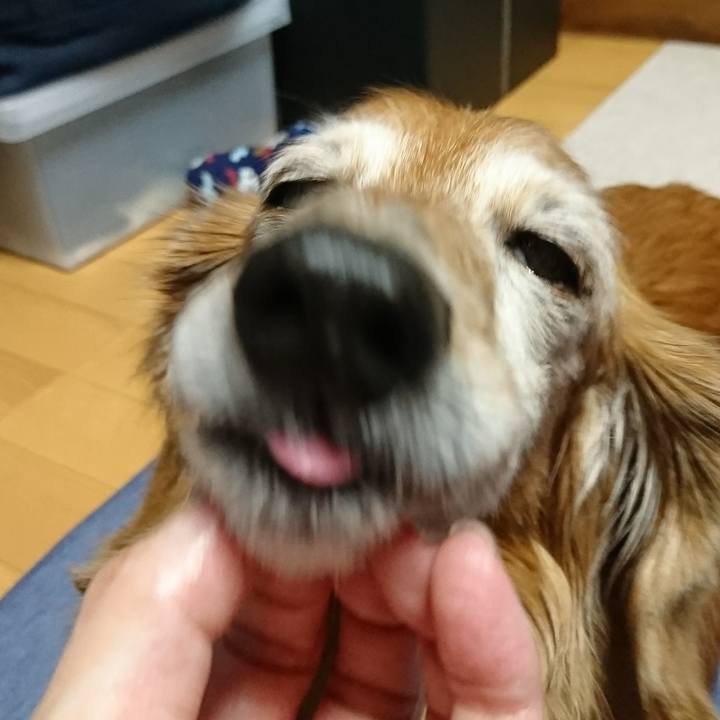 4397b624 06ce 4768 8b0c d3545fb0a015 1513078840492