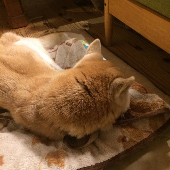 4397baf9 5092 44f3 a00e bb96c2600071 1580308282531