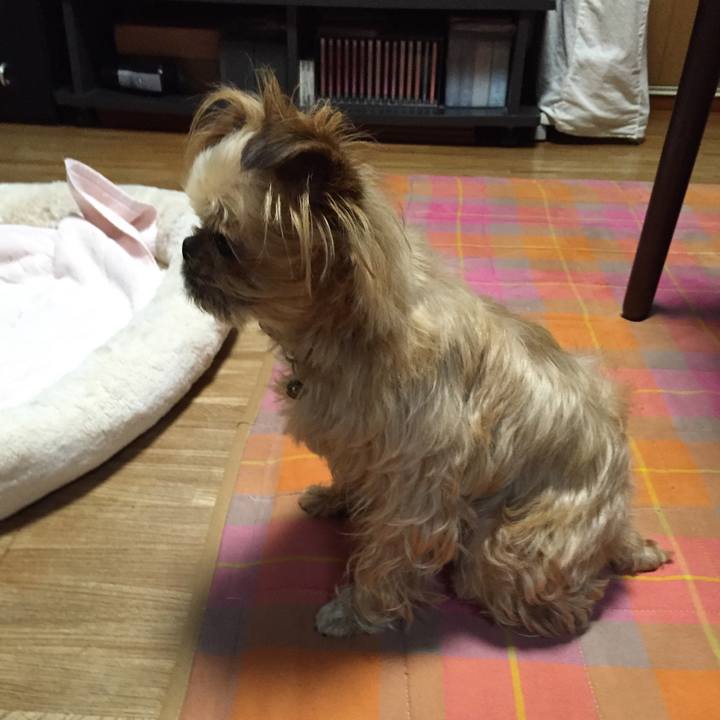 4397d1dd 6222 452a 93ce be0f95b2ad38 1590984264683