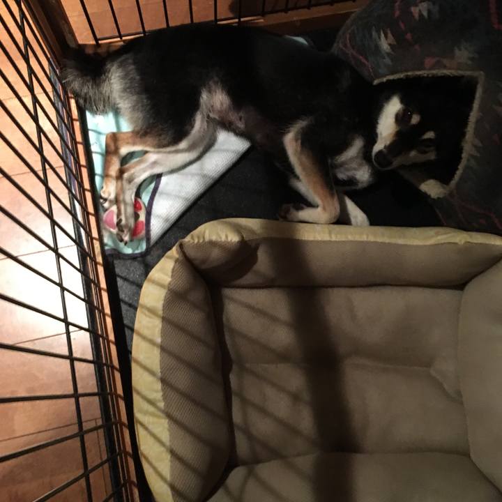 4397d59a 8724 45c0 9db9 fa03bdfe9a87 1568261310417