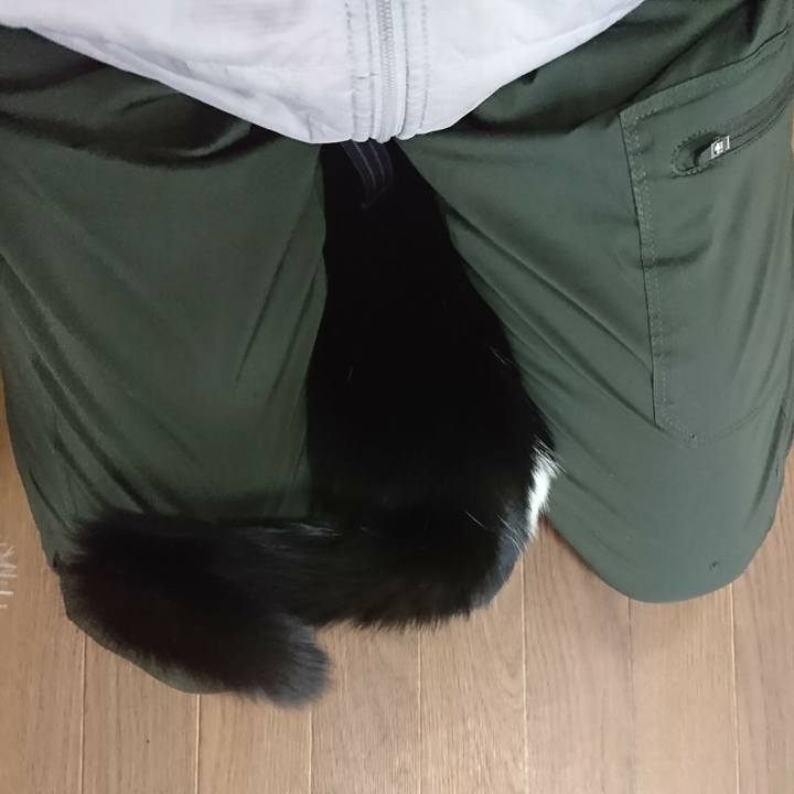 43980a23 a54e 4f25 9937 2828fb312fa3 1616199434175