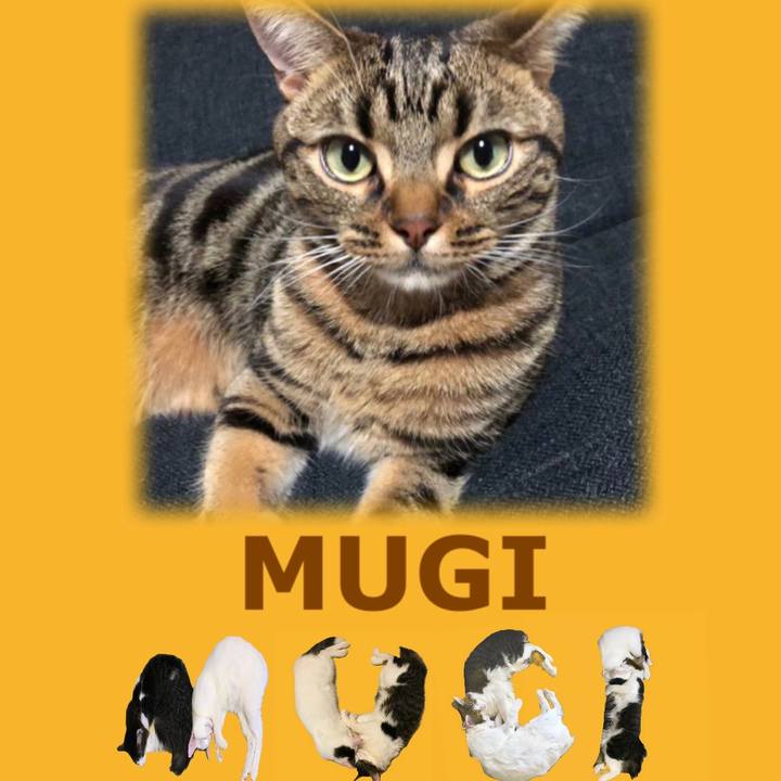 43981f5f 4e64 4807 81e8 16d662c1d91f 1667546344964