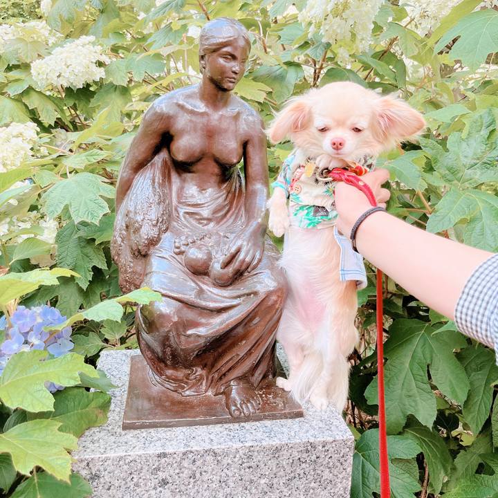 43981fd9 fc35 4964 bc51 eda1f5cc37f6 1655352995419