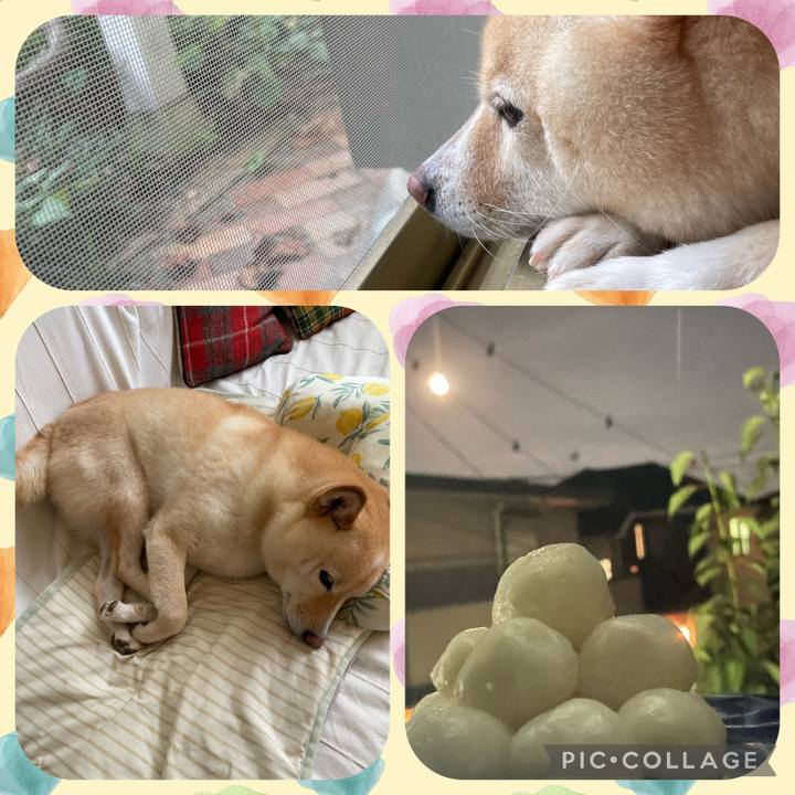 43986f14 9ec1 47cc 8178 368b39a2bd07 1662809487886