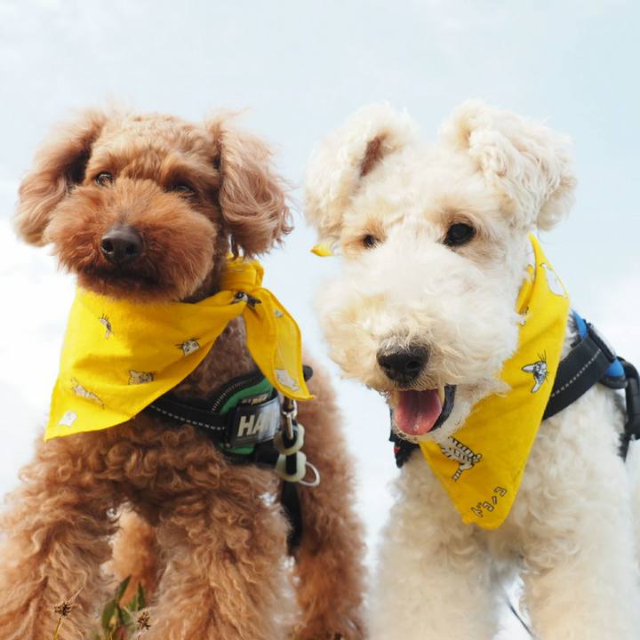 4398b3b4 7923 44a9 8af3 e18e3bce9c3d 1522167061493