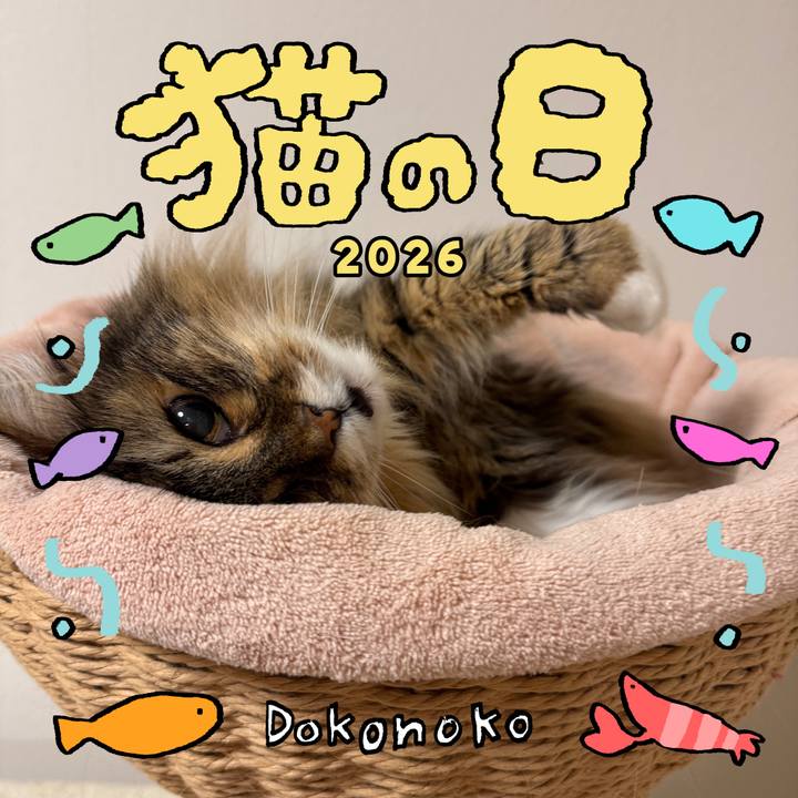 43991fe2 73ce 4e4e a41a e63cf3c27ef2 1771768631082