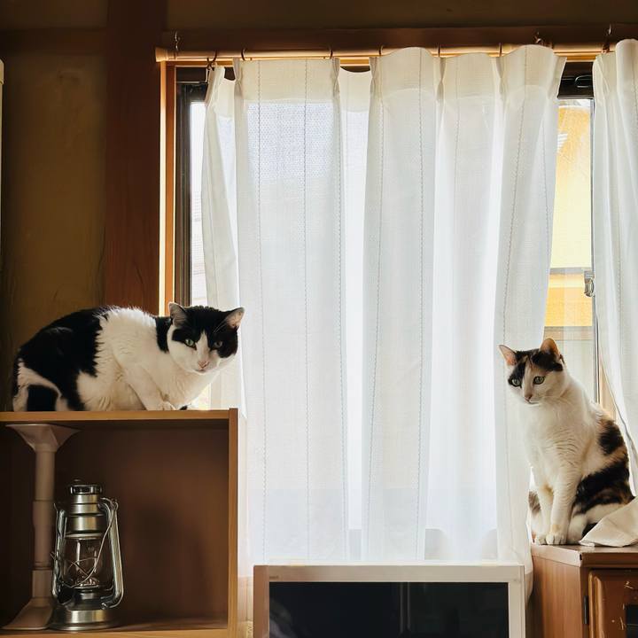 43992bbe 99a3 44db 8ae2 b2c0332325a6 1683077008437