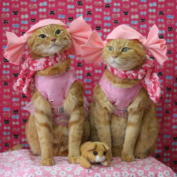 43993a34 5106 4d8c b7ff 7aeb85e7de55 1532766520612