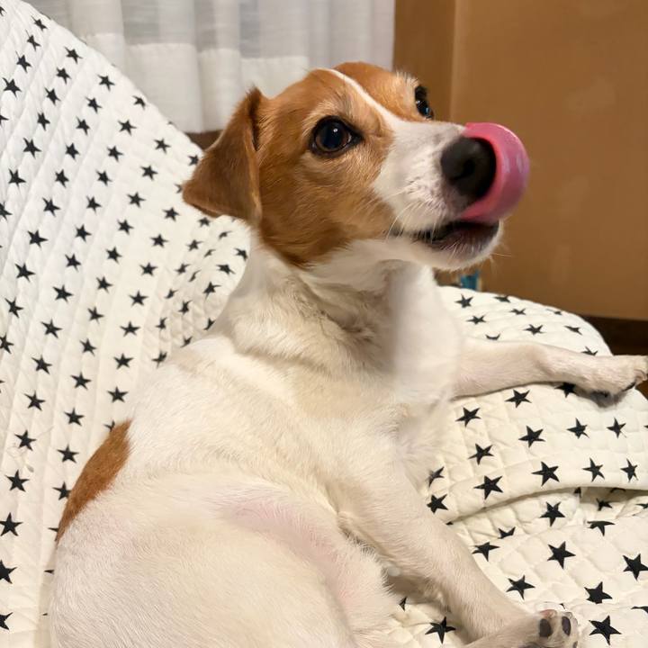 43995892 d71c 4b68 99bc ef710b4da037 1765457344205