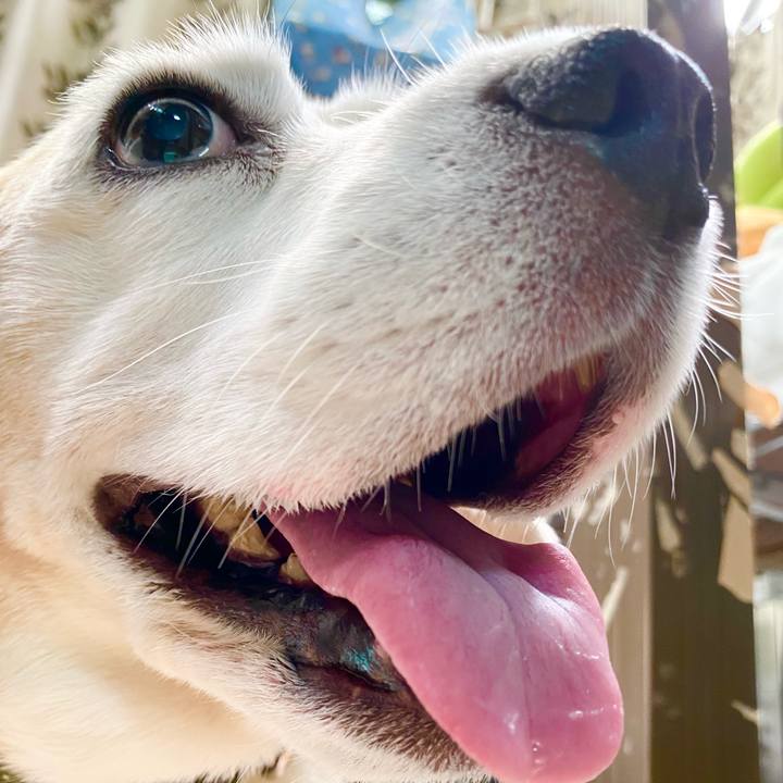 43996222 b30f 437c 966e c9ae4da3342a 1657261270376