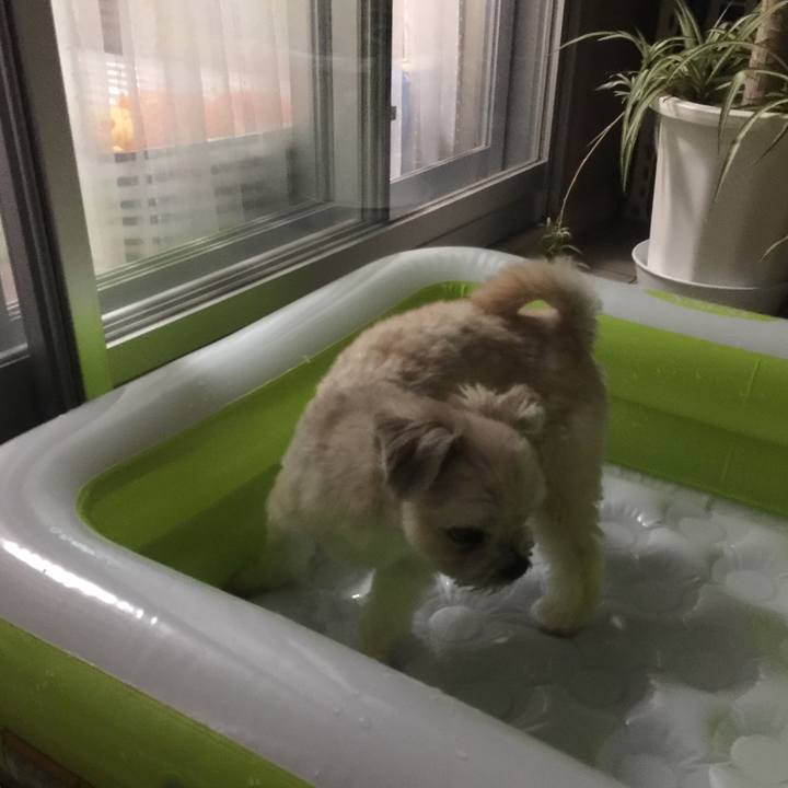 4399727a e325 4820 80fc 6fd757ff2049 1536404813138