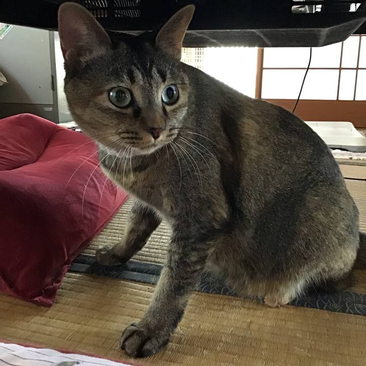 43998c27 9ee8 429b 87bd 0a2bc7595d36 1663145344352