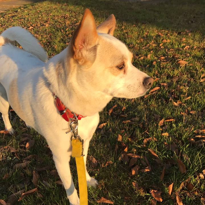 4399b036 ccb5 4e29 a346 ad73eebf1ed8 1570072794195