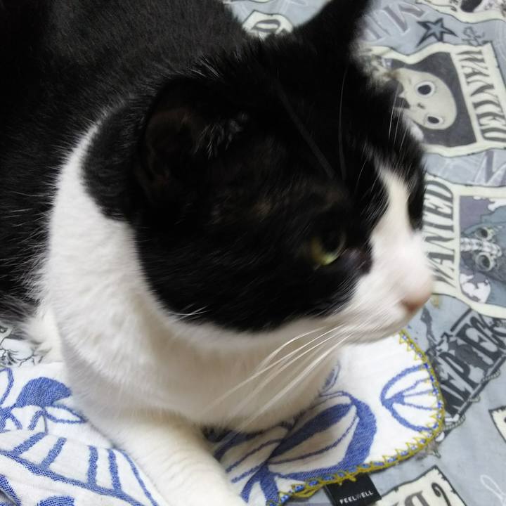 4399da02 8e37 4fdc a9e7 d2a2b34918a8 1531605134239