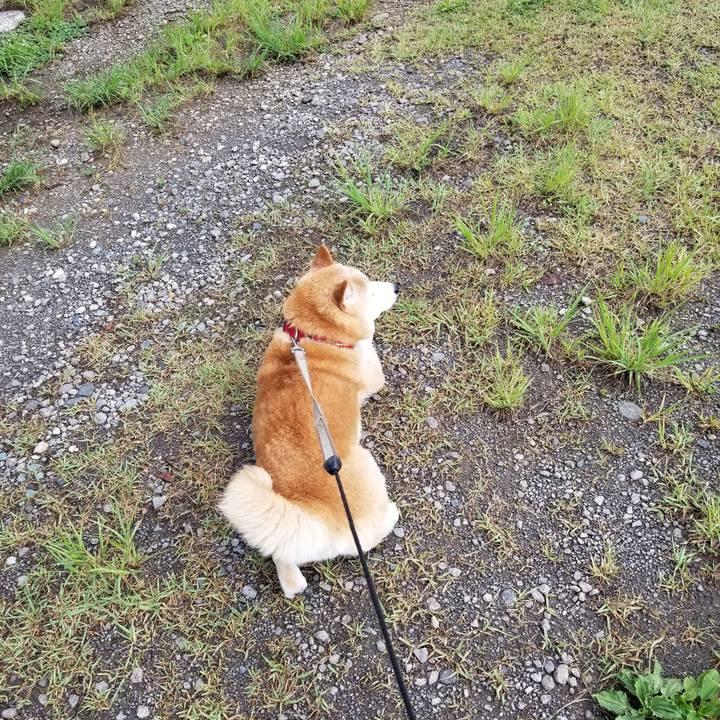 4399e2ab c5ac 4185 8561 2965afef599c 1718692141980