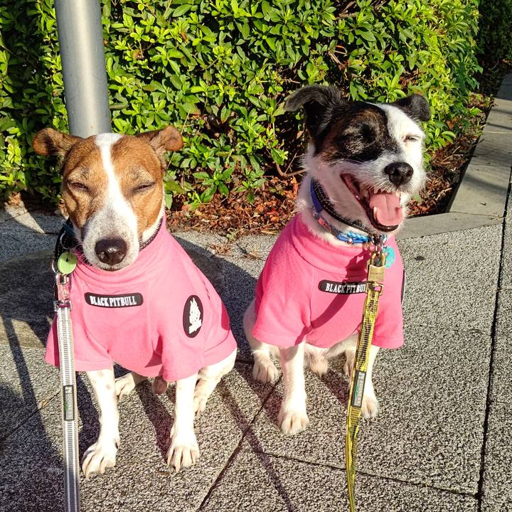 4399ed3a 121b 42f5 94c0 a6f1bb26b358 1694469217640