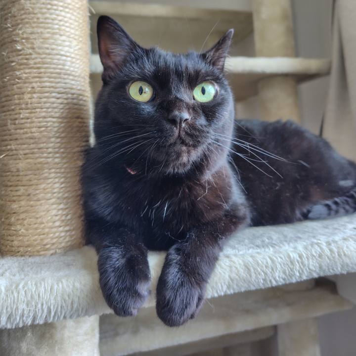 4399f0dd cb46 4a47 a059 e3b53eeb1545 1722645600913