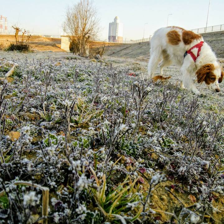 4399f597 78b4 47a1 8cc5 74c8668b1505 1550456441565