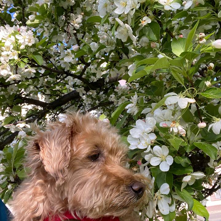 439a0bb2 d2c5 4d34 a876 2de08e1b27c1 1684451826328