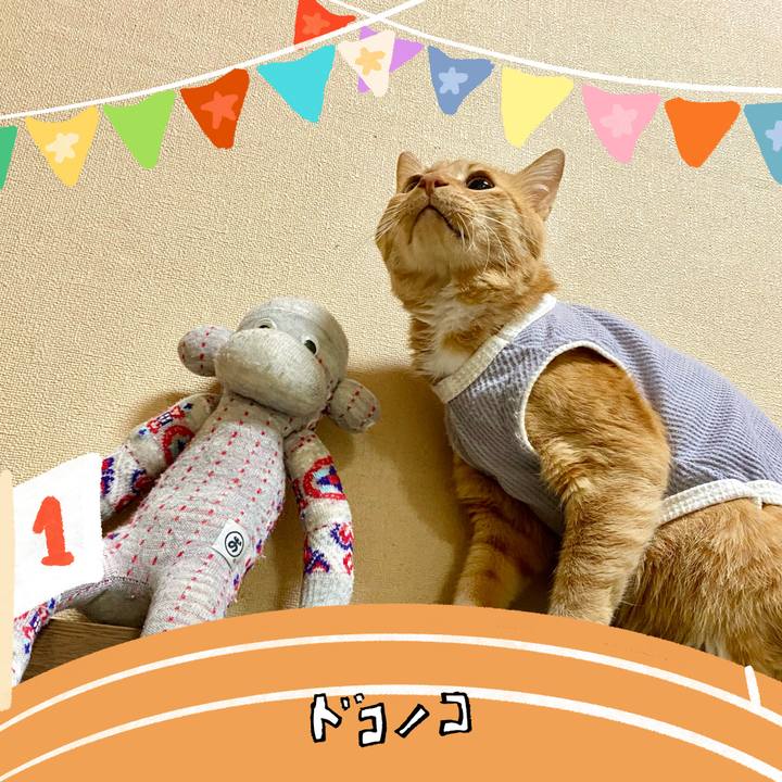 439a1b94 b754 48c5 b19b 7536b857deb3 1762346226604