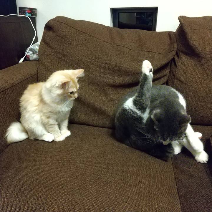 439a23ff 976c 46ac b1a9 f07c837d5d92 1608908229638