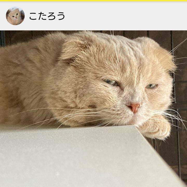 439a3d85 5cc4 4f26 9984 7fe1051f71c2 1660604499354