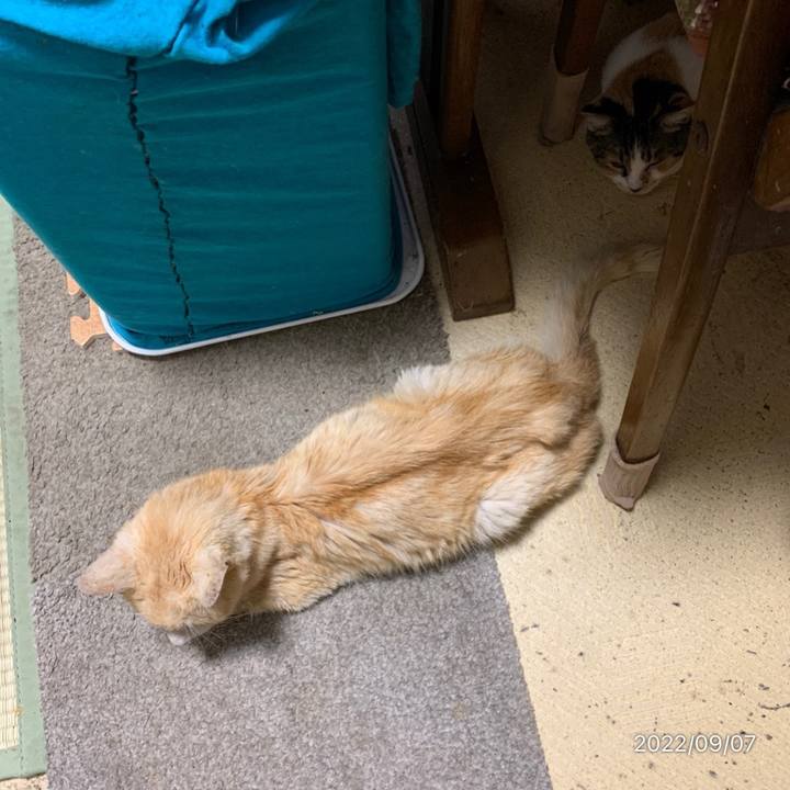 439a5aa2 8ffc 4430 86b6 258a11a710af 1662505307249