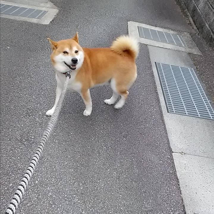 439ac54d a2d7 4848 a3e6 3e5f7ee0d98b 1592273310388