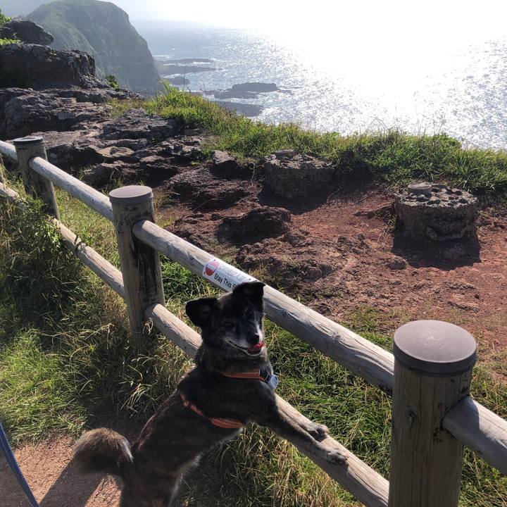 439acdcb 2a7a 447f a8d3 41543a9391f1 1663240001825