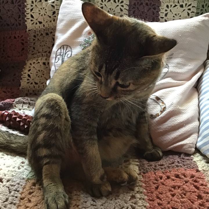 439adb60 0845 41f5 9b1d 9dfee69e70c0 1626130446688