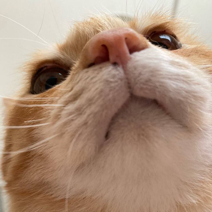 439afd48 d231 45a6 8c0a 1bf05b8315ec 1762558208242