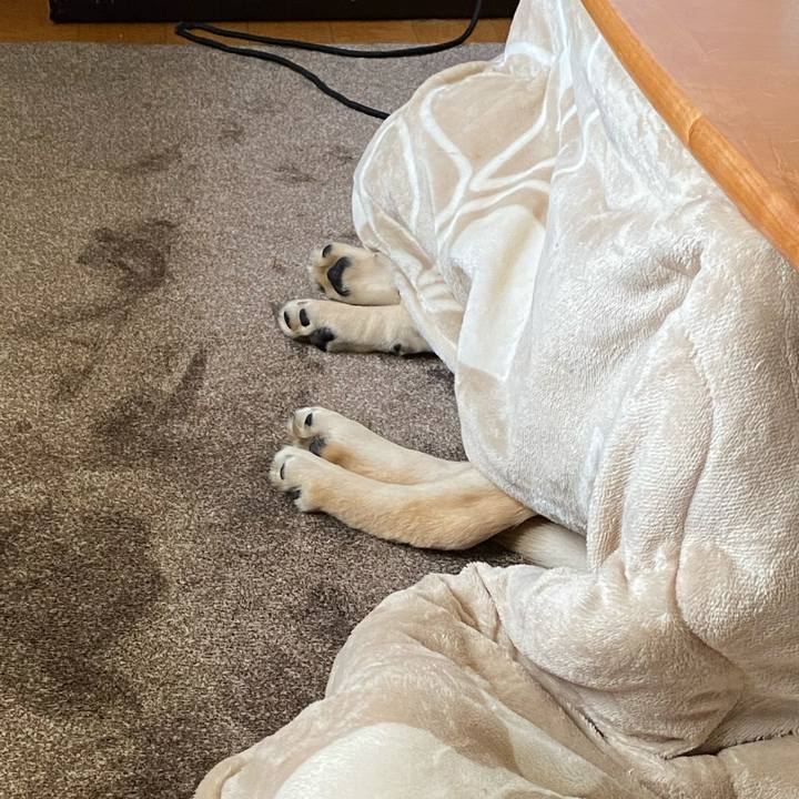 439affac 61b7 4357 ab41 fd623dd9fb70 1613639675820