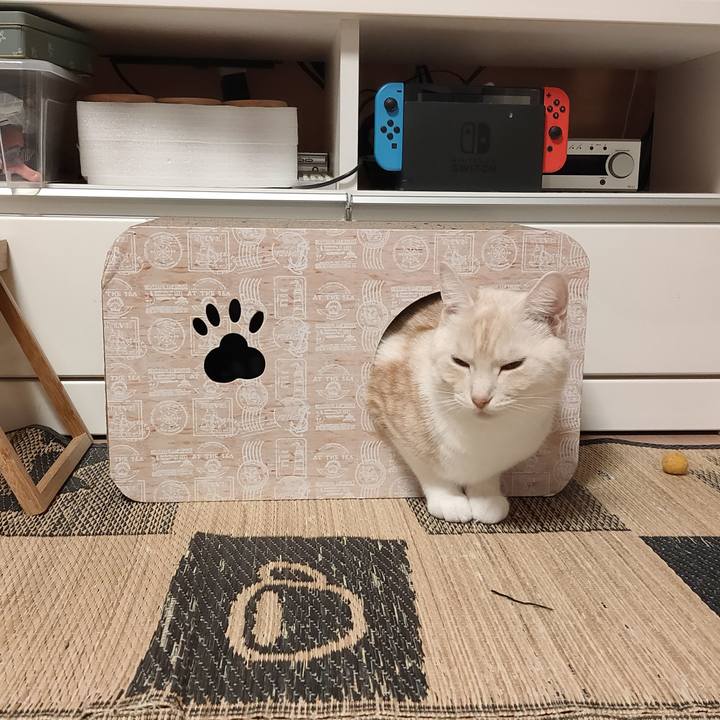 439b0db9 1d2d 4beb a60b 8ec7bad32096 1665154410501