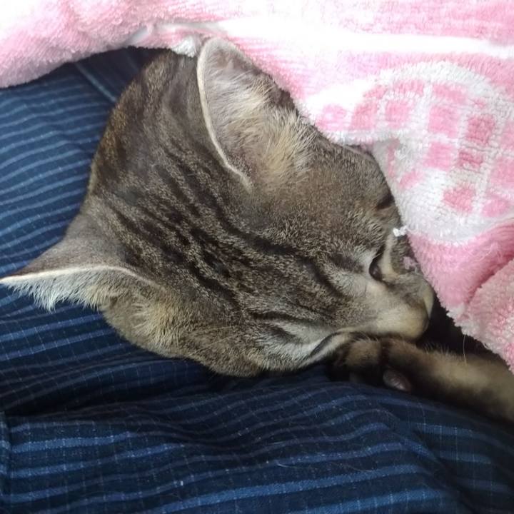 439b3387 b9e9 4e9f abf2 dd7d7a3afc4e 1579905687684