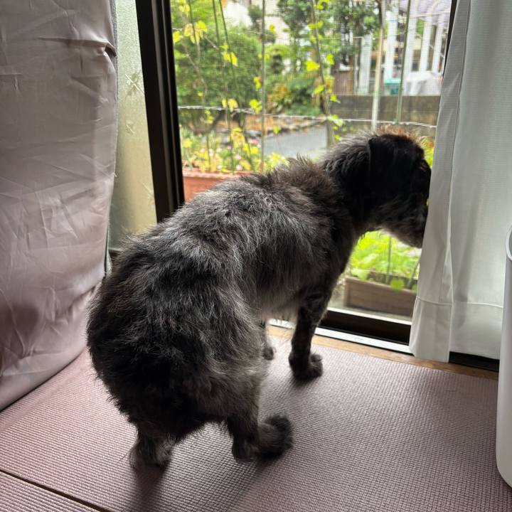 439b56b6 b7f4 41a2 b0c7 3c347aadd29d 1757805223542