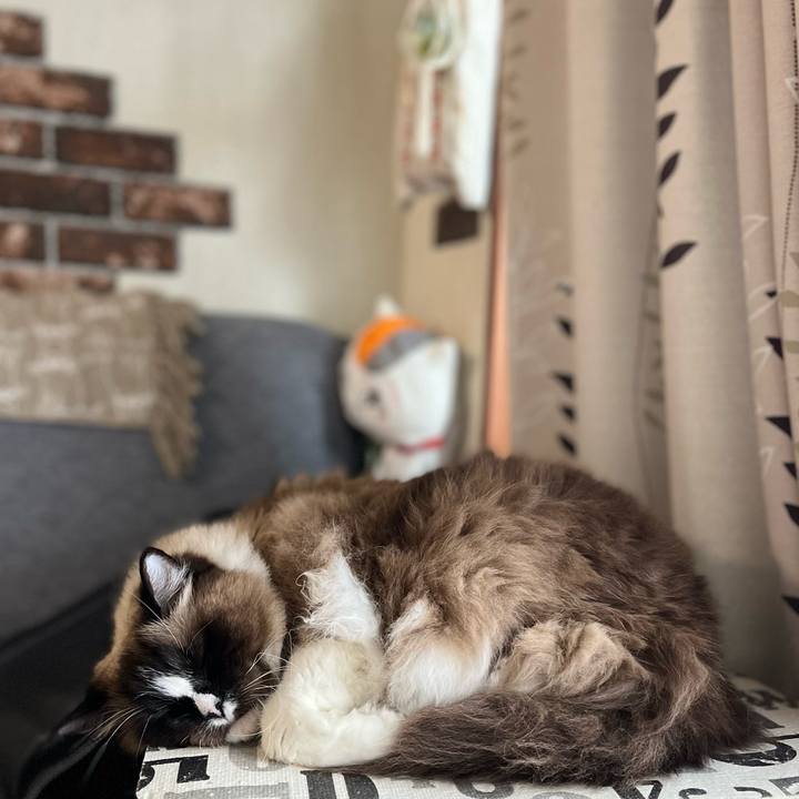 439ba4ca 5b54 4970 8bf1 25f4449ecda5 1652441953084