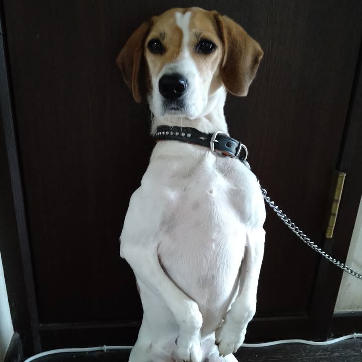 439bb44d ab9f 44a3 a531 d4ac78932352 1644327885762