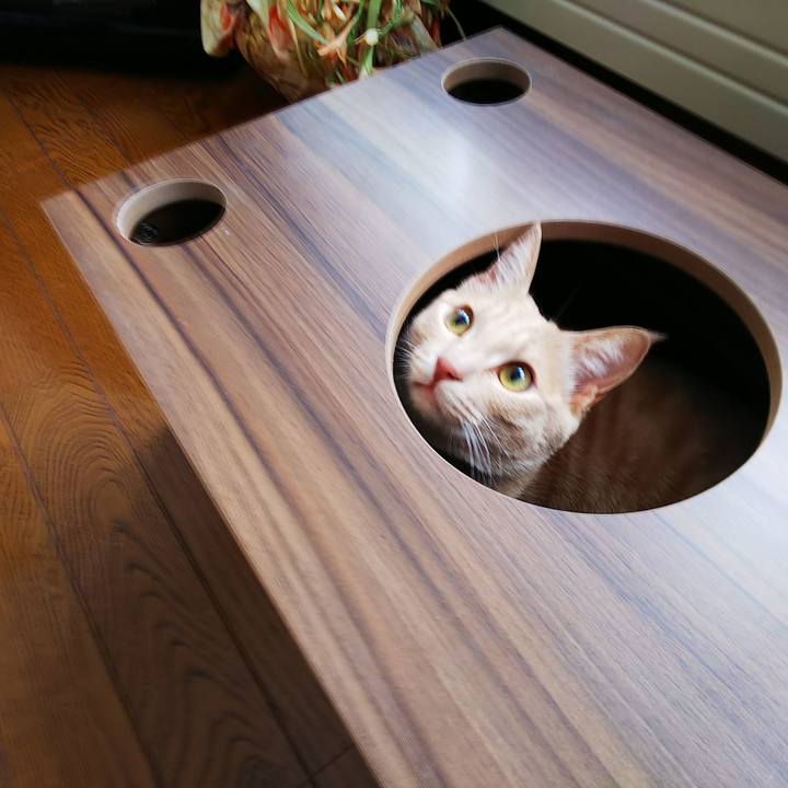 439bf649 8dd5 4bf9 b0ac 5a894e92e9fe 1554525652023