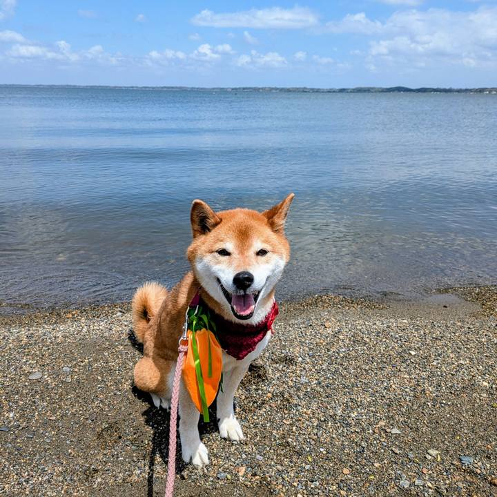 439c0a1a 319b 4a07 893c ebb9289fd2e8 1744637173645