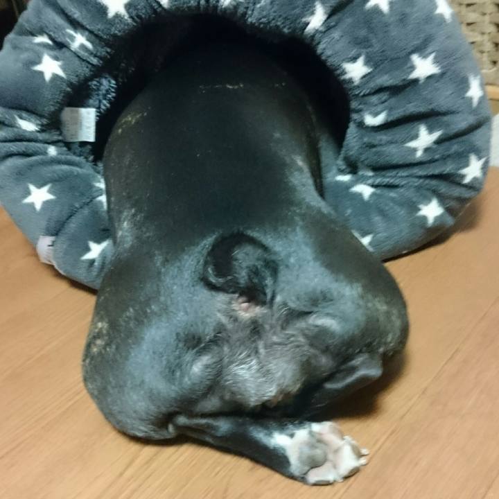 439c0c9d 3115 40be 9c0d cda530c356e3 1511788206202