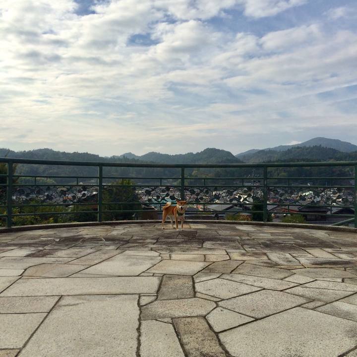 439c45ad ae2b 45e8 81e8 f3cd9a36b503 1507790084408