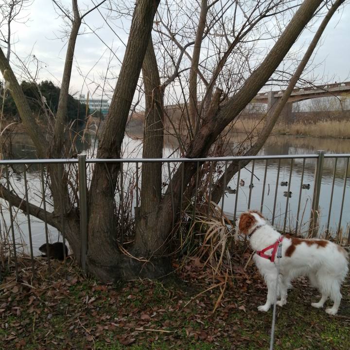 439c644c d3a2 41f5 acba b66ac579be47 1579477668504